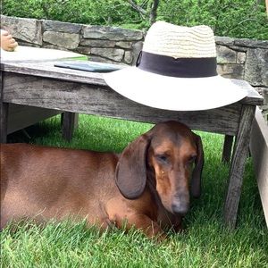 Meet your Posher, Natasha